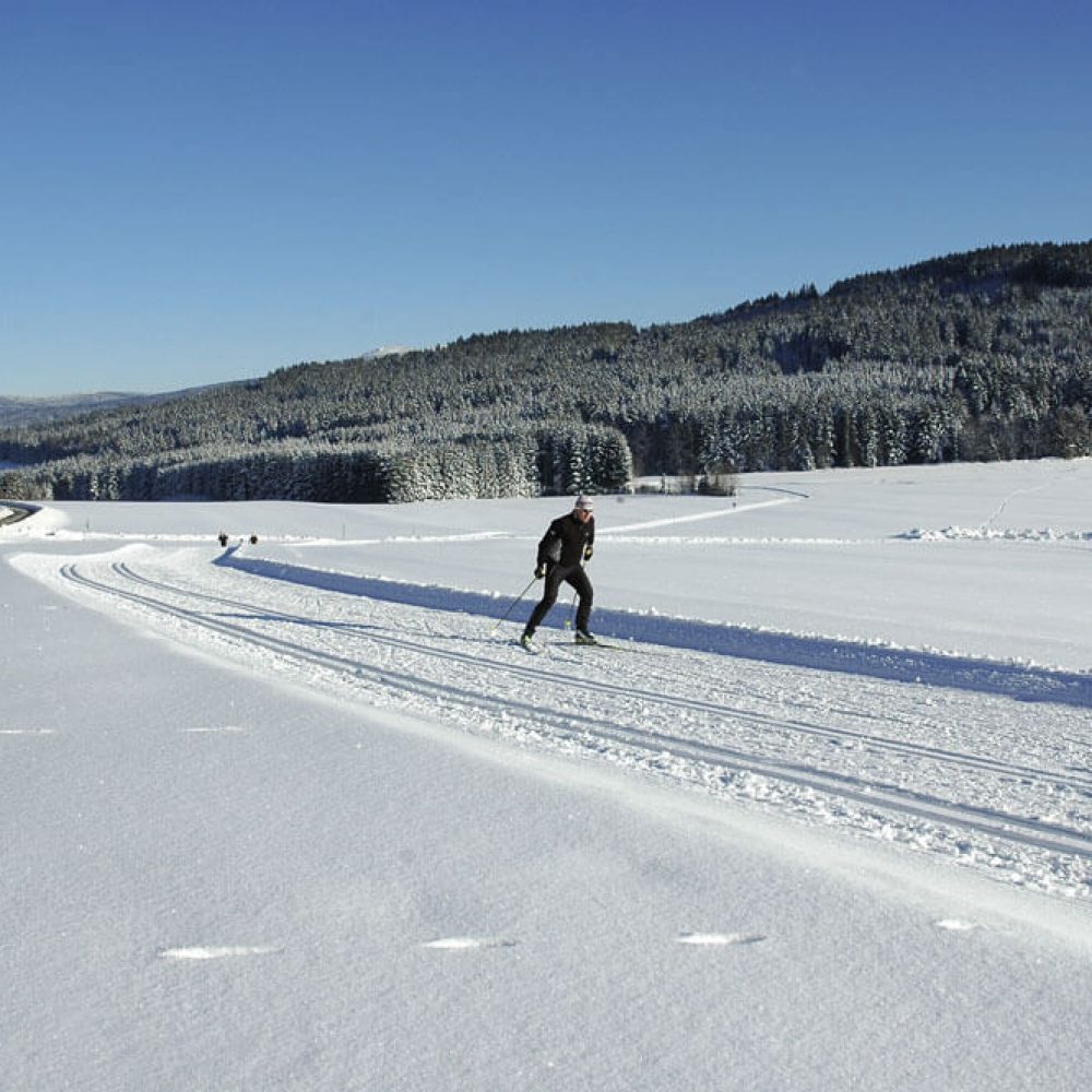 Langlauf__DSC_3879__DSC_3879_